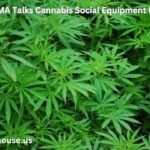 Burlington MA Talks Cannabis Social Equipment Policy