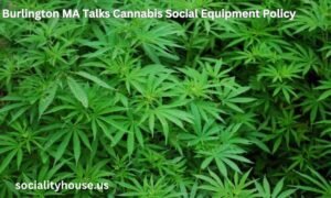 Burlington MA Talks Cannabis Social Equipment Policy