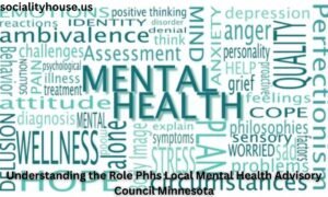 Phhs Local Mental Health Advisory Council Minnesota